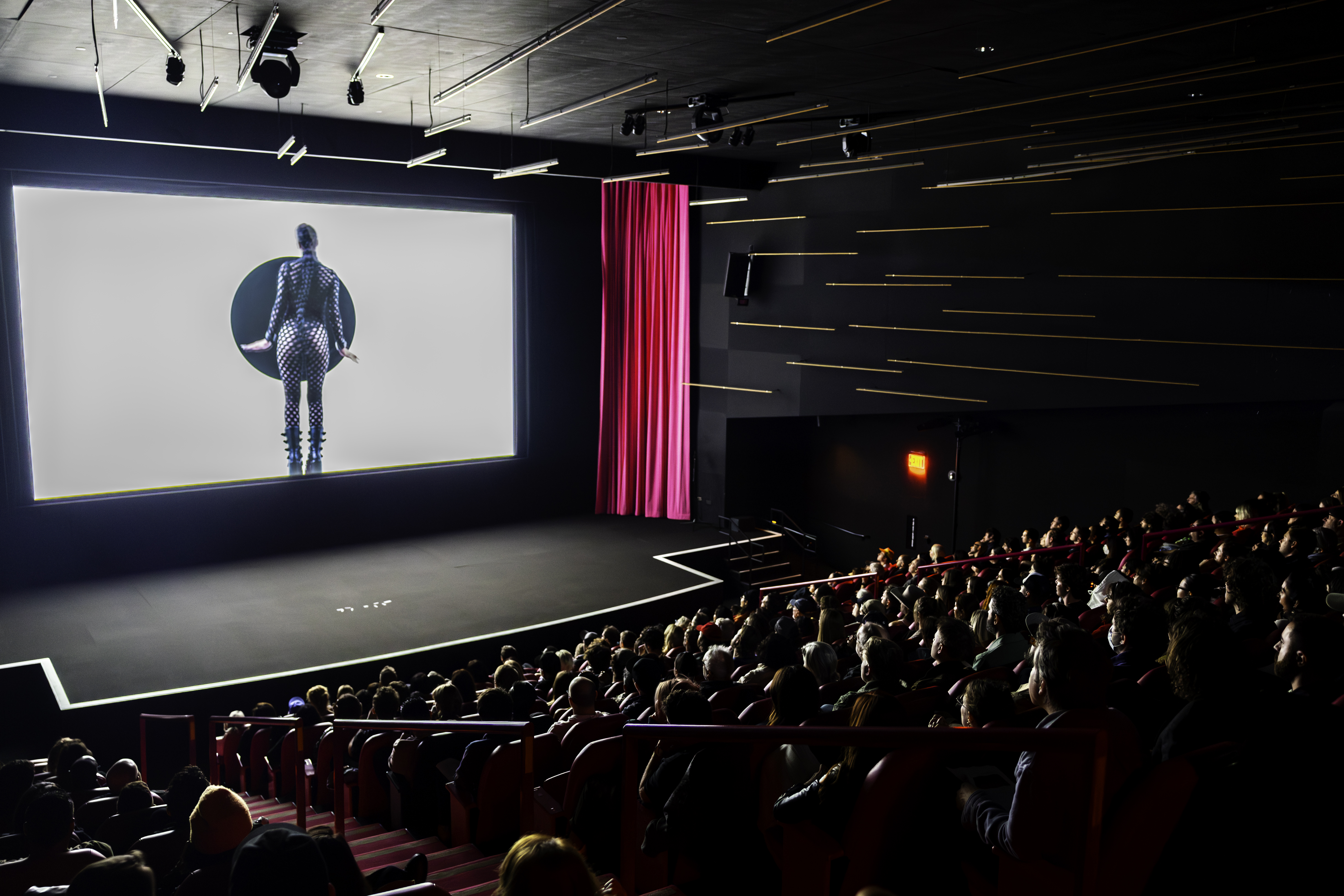 Hammer Screening Series